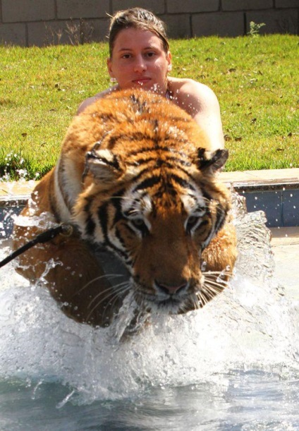 Tiger helyett 7 pet ragadozók élnek a brazil család - Hírek képekben