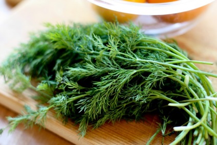 Dill tea jellemzői az alkalmazás és annak egészségügyi előnyei