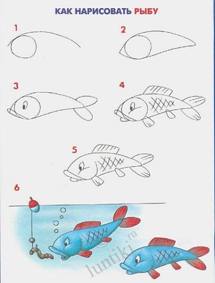 rajz leckét a fiatal művészek - felhívni a halak szakaszokban