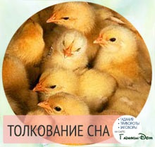 Az álom egy csomó csirkét, amit