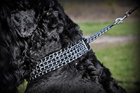 Típusú nyakörvek kutyák számára