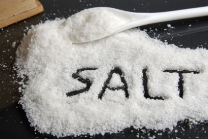 Minden „Salt” - nemzetközi gasztronómia aakademiya