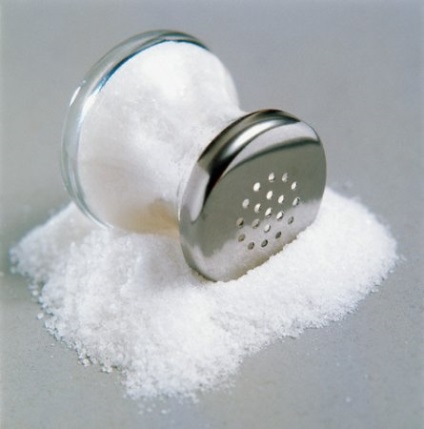 Minden „Salt” - nemzetközi gasztronómia aakademiya