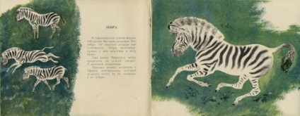 Állati művész Evgeniy Ivanovich Charushin (227 művek) - festmények, művészek, fotósok nevsepic