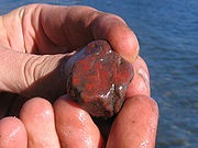Jasper - ez () Jasper - ez