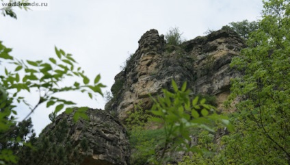 Castle árulás és a szeretet (sport) Castle árulás és a szerelem