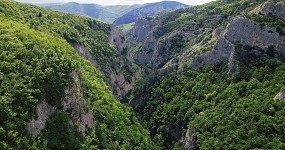 A hangfelvétel a panel egy esküvő, amikor mozgóképet