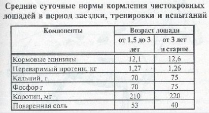 Gyári képzés hátaslovakat - Hippológiai - szentelt lovak (edzés lovaglás lovak) Gyári képzés hátaslovakat - Hippológiai - szentelt lovak