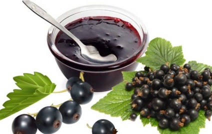 Feketeribizli zselé a téli főzés nélkül recept hideg módszerrel, és egy öt perces zselatin (fekete) Fekete ribizli zselé téli főzés nélkül recept hideg eljárás, és egy öt perces zselatin