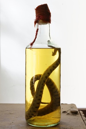 Snake haj olaj felhasználása - nő s nap