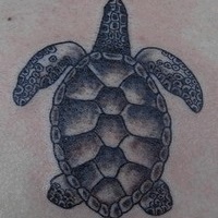 Jelentés tetoválás teknős