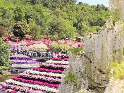 5 legszebb virág park Japánban, japán Online