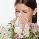 Allergiás a napraforgóolajban