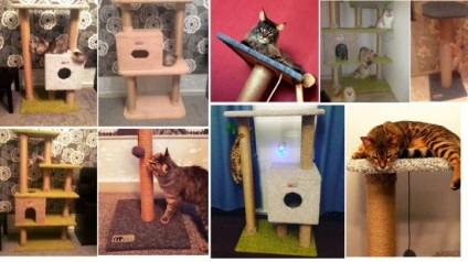 Üzleti gyártásához házak macskák - útmutatást, hogy a saját kezébe egy házat, és az összes árnyalatokat