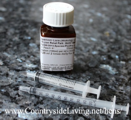 Betegségek csirkék candidiasis golyva (betegség) Betegségek csirkék candidiasis golyva