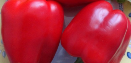 Paprika fotókat és leírást - levelek, magvak (bors) Paprika fotókat és leírást - levelek, magvak
