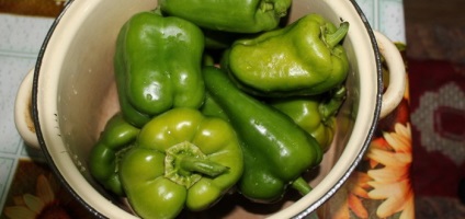 Paprika fotókat és leírást - levelek, magvak (bors kártevők) Paprika fotókat és leírást - levelek, magvak