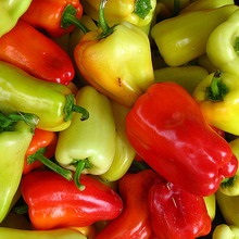 Paprika fotókat és leírást - levelek, magvak (bors) Paprika fotókat és leírást - levelek, magvak