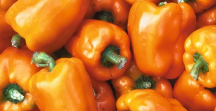 Paprika fotókat és leírást - levelek, magvak (bolgár) Paprika fotókat és leírást - levelek, magvak
