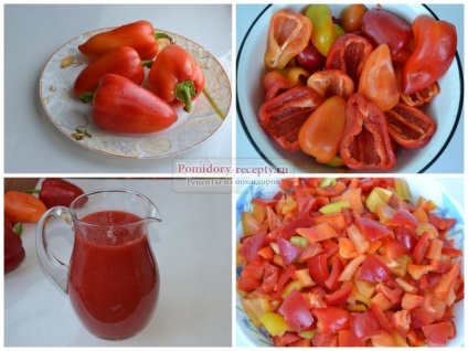 Paprika paradicsommártással a legjobb receptek fotókkal