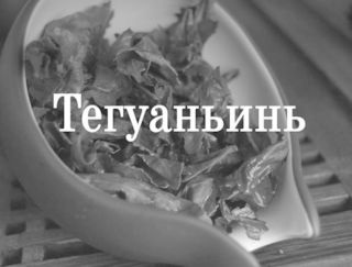 Tea ivó kalauz Tieguanyin tea (tea) Tea ivó útmutató Tieguanyin tea