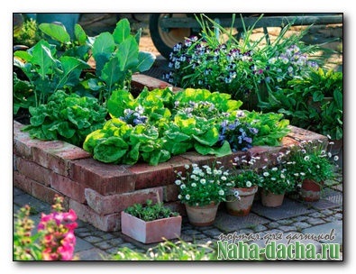 A bekerített kert - villa építeni a saját kezét, ültetés, mázolás, mesterek az ország saját kezűleg