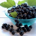 Fekete ribizli - előnyei és hátrányai a levelek, egészséges és gyógyászati ​​tulajdonságai tinktúra fekete
