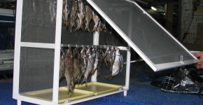 doboz rajz szárított hal - hasznos tudni, hogy - nagy basszus - helyszínen a halászati