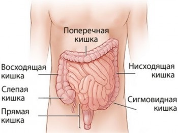 Mi yersiniosis gyermekeknél (yersiniosis) Mi yersiniosis gyermekeknél