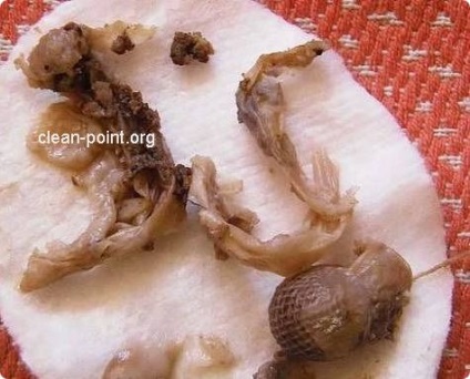 Mi húzza tampon tiszta pontot, és ez megy a labda (pont) Mi húzza ki a tampont és tiszta lényeg, hogy megy a tampon