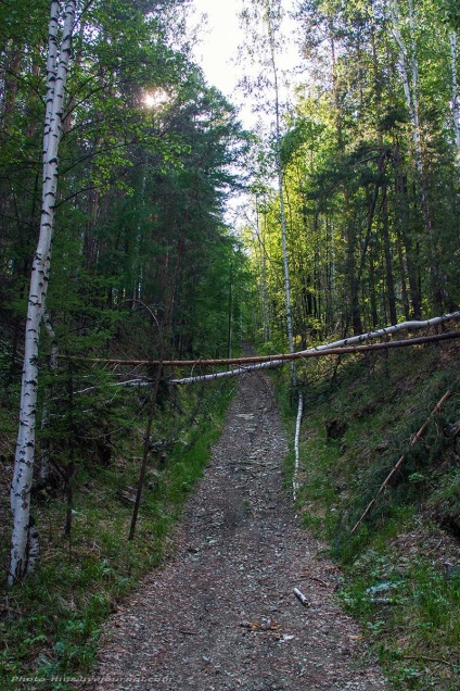 Francia Hill, Cseljabinszk és Cseljabinszk régió vezető (francia) Francia Hill, Útmutató a Cseljabinszk és Cseljabinszk régióban