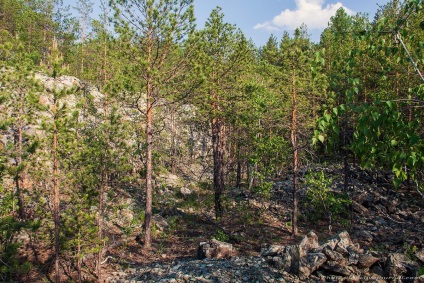 Francia Hill, Cseljabinszk és Cseljabinszk régió vezető (francia) Francia Hill, Útmutató a Cseljabinszk és Cseljabinszk régióban