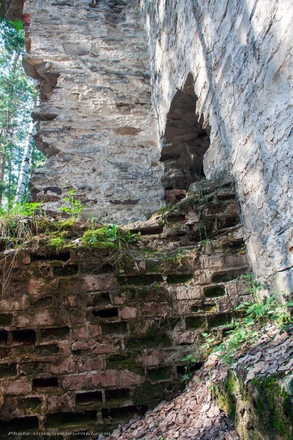 Francia Hill, Cseljabinszk és Cseljabinszk régió vezető (francia) Francia Hill, Útmutató a Cseljabinszk és Cseljabinszk régióban
