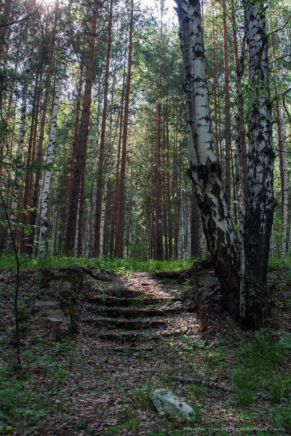 Francia Hill, Cseljabinszk és Cseljabinszk régió vezető (francia) Francia Hill, Útmutató a Cseljabinszk és Cseljabinszk régióban