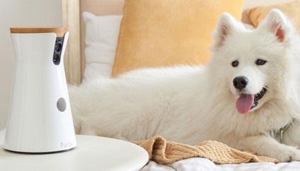 Furbo kutya fényképezőgép - intelligens kamera kutyák a funkciója etetés