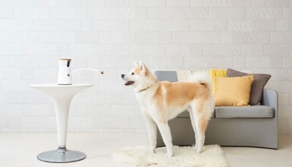 Furbo kutya fényképezőgép - intelligens kamera kutyák a funkciója etetés