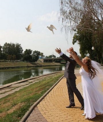 A galambok az esküvő egy hosszú és boldog házasélet