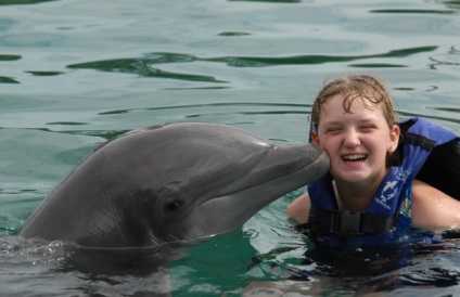 Információ a delfinek gyerekeknek