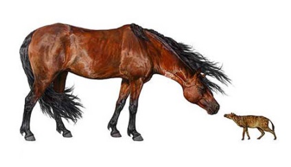 History of Horses (Föld millió ezelőtt) Története lovak