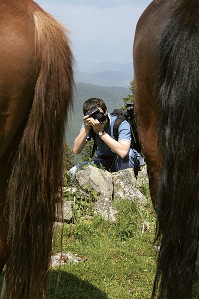 Hogyan lehet fényképezni egy ló