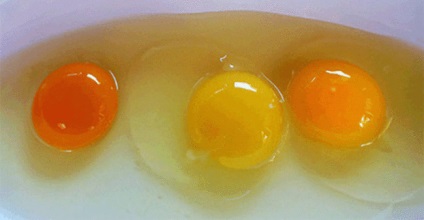 Milyen színek legyen tojássárgája