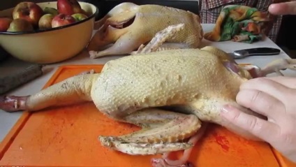 Hogyan leszakítani egy kacsa az otthon gyorsan és helyesen (videó)