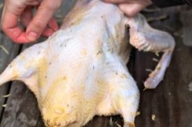 Hogyan leszakítani egy kacsa az otthon gyorsan és helyesen (videó)