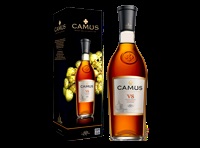 Hogyan inni konyak Camus