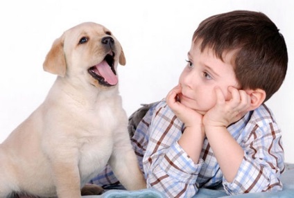 Hogyan, hogy a gyermek egy kutya, hogy vesz egy gyermeket egy kutya, gyermekek és unokák