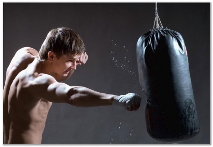 Hogyan válasszuk ki a boxzsák a hazai vagy a kerti cikkek testépítő - testépítő és fitness -