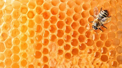 Hogyan juthat el a méhsejt megfelelő méret a megfelelő helyen