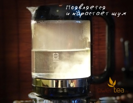 Hogyan vízmelegítésre tea (melegíti a vizet megfelelően) Hogyan vízmelegítésre tea