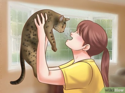 Hogyan tanítsuk meg a macskát, hogy válaszoljon a nevét