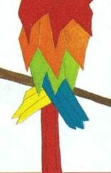 Hogyan kell festeni a papagáj - Tanuld meg felhívni
